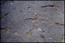 northshore-petroglyph-27