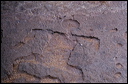 northshore-petroglyph-29