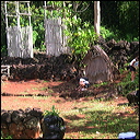 walk-in-waimea-007