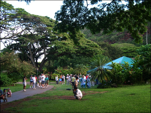 walk-in-waimea-001.jpg